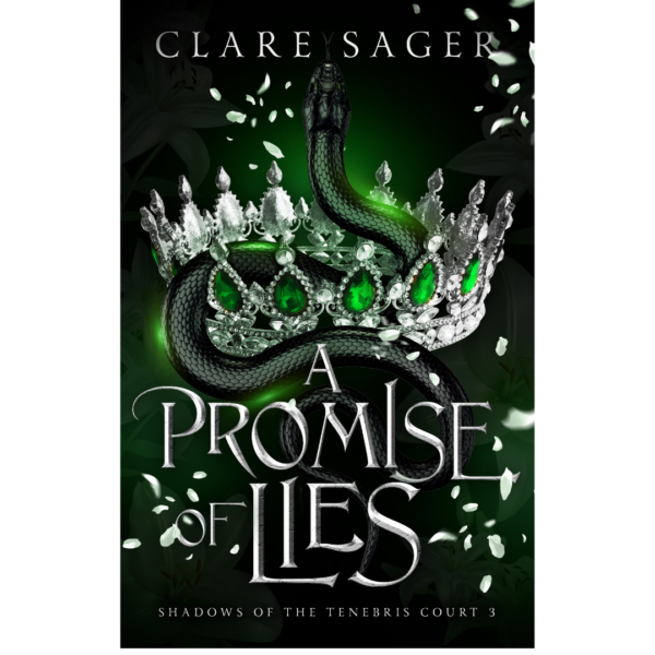 A Promise of Lies by Clare Sager