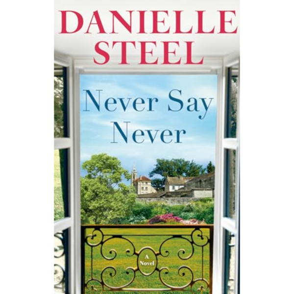 Never Say Never by Danielle Steel
